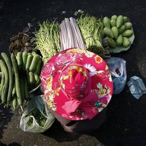 柬埔寨蔬菜供不应求 ，都来柬埔寨卖菜吧