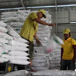 柬大米出口欧盟遇挫，将寻求中国合作