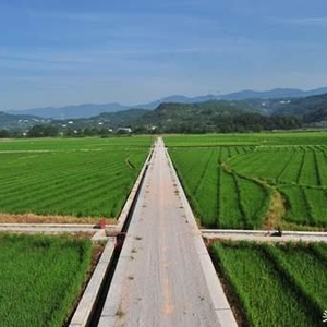 在中国也可以灌溉到柬埔寨的农作物?